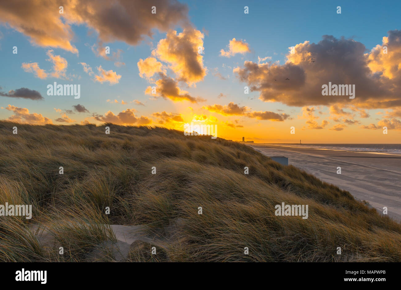 Sonnenuntergang in den Dünen von Ostende Stadt mit Blick auf die Nordsee und den Strand mit der Silhouette des Leuchtturm im Hintergrund, Belgien. Stockfoto