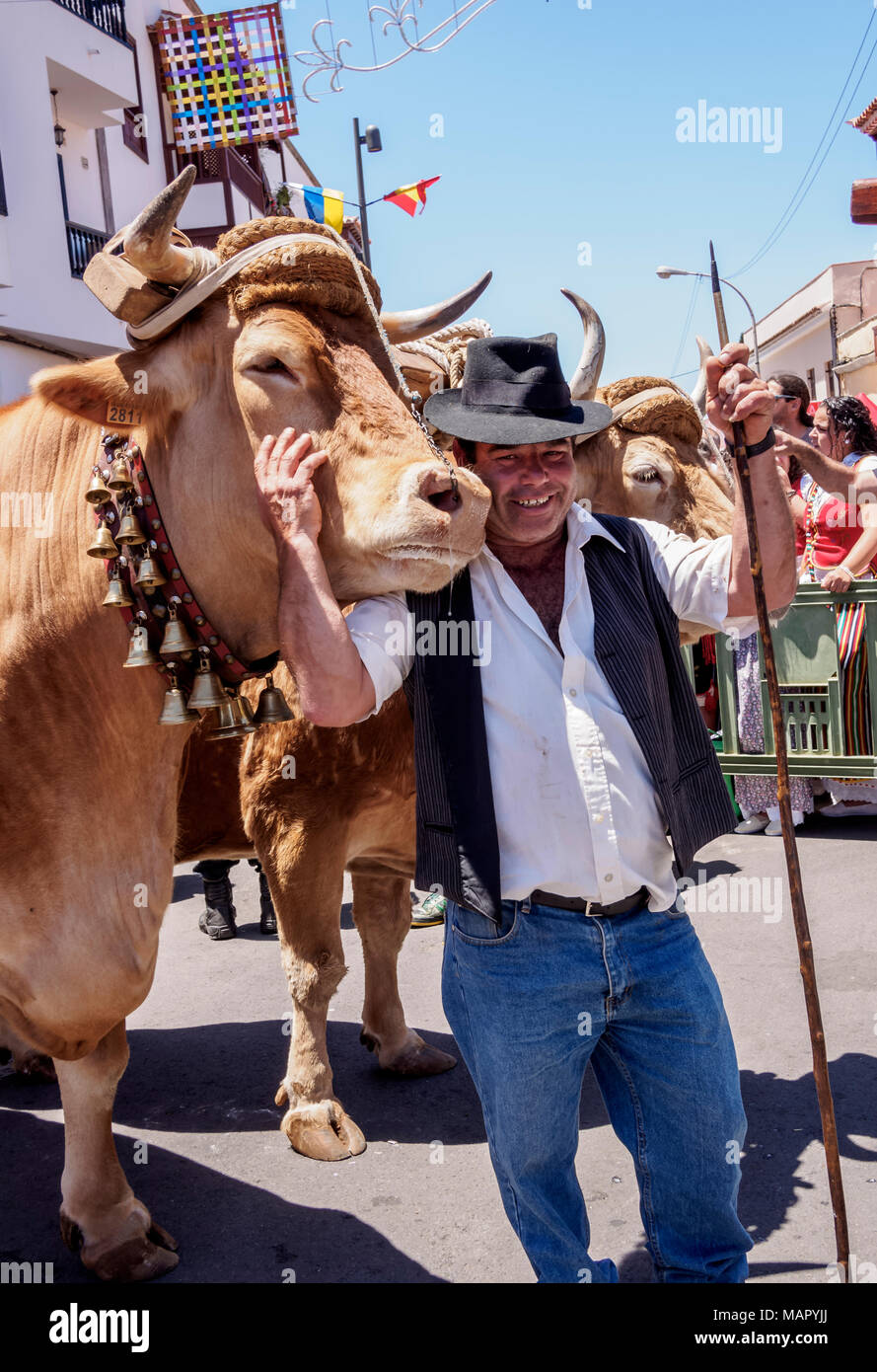 Romeria de Tegueste, traditionelle Straßenfest, Tegueste, Teneriffa, Kanarische Inseln, Spanien, Europa Stockfoto