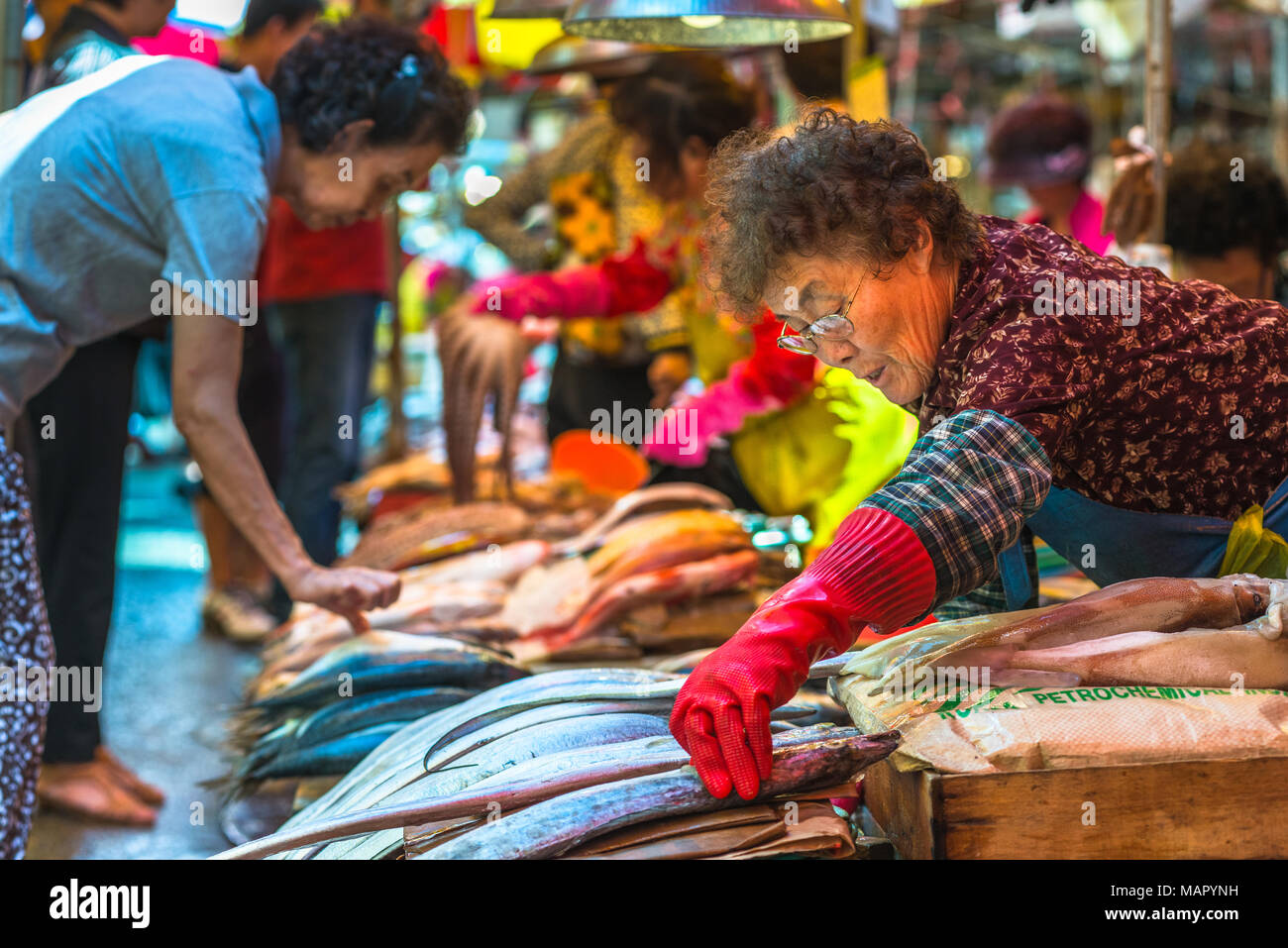 Fisch zum Verkauf an Jagalchi Fischmarkt, Busan, Südkorea, Asien Stockfoto