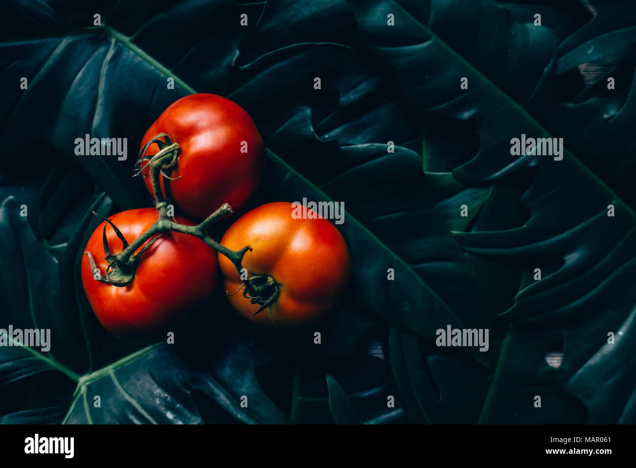 Nahaufnahme der frische, reife Tomaten auf Holz Hintergrund Stockfoto