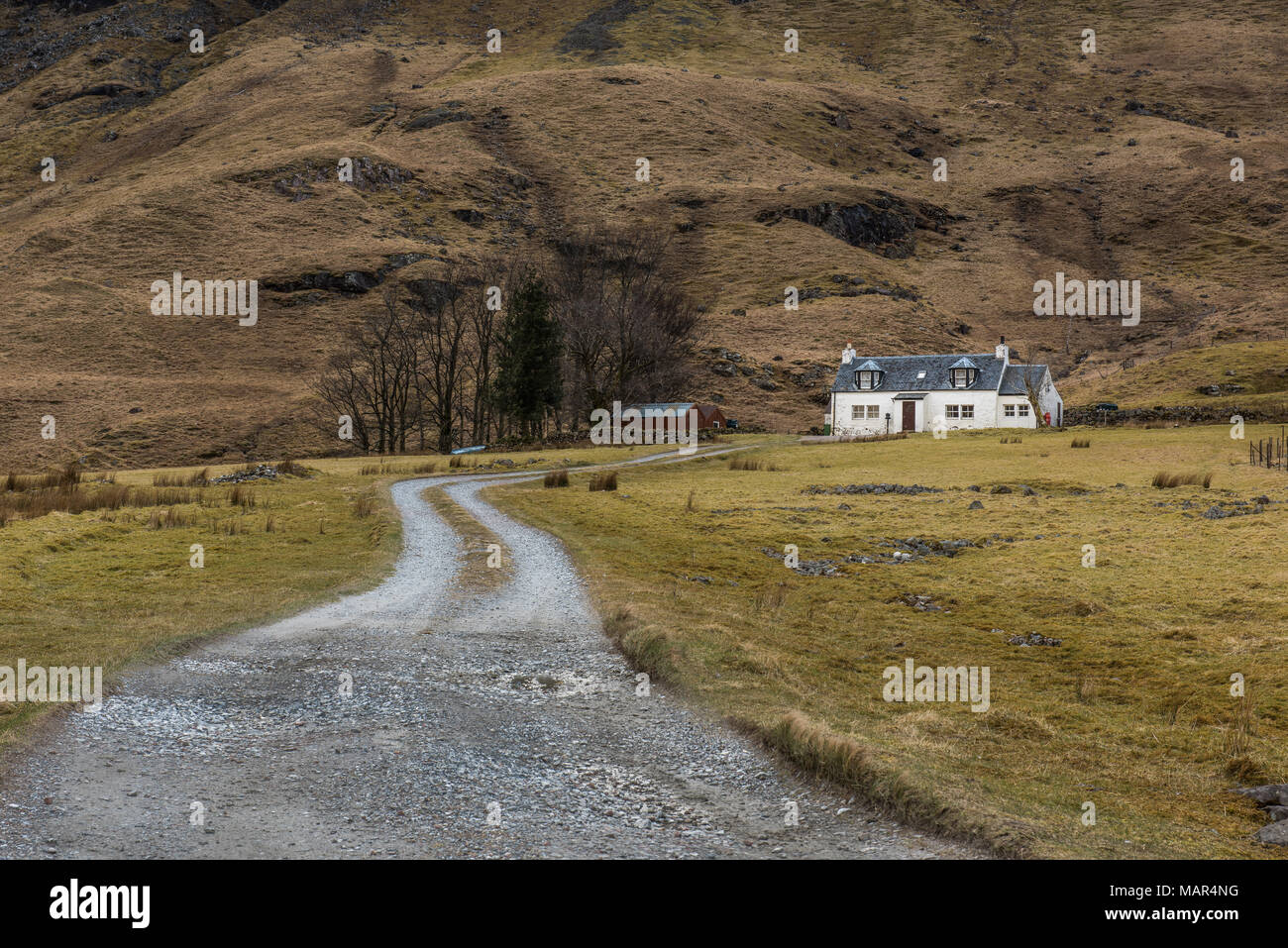 Anschluss führt zu Achnambeithach Cottage mit Stob Coire nam Beith im Hintergrund, Glencoe, Highlands, Schottland Stockfoto