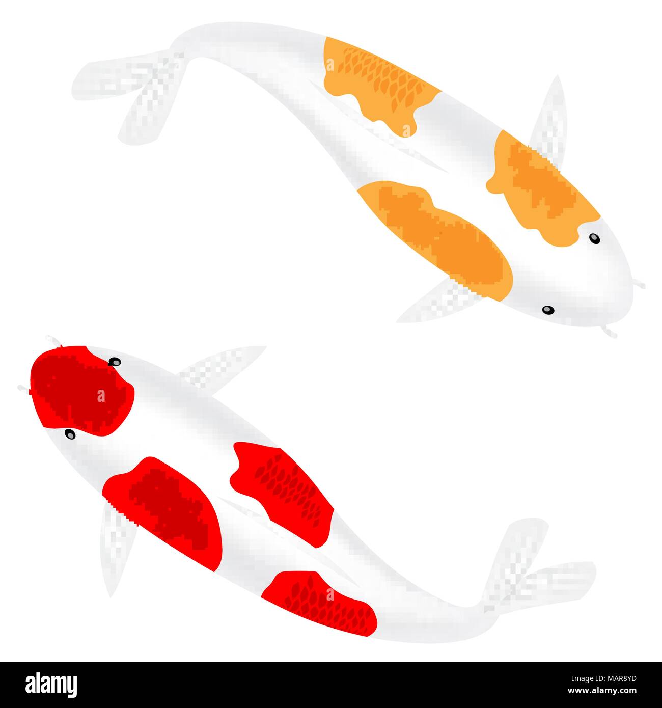 Rote und gelbe Japan Koi Fisch oder phantastischen karpfen fisch Stock Vektor