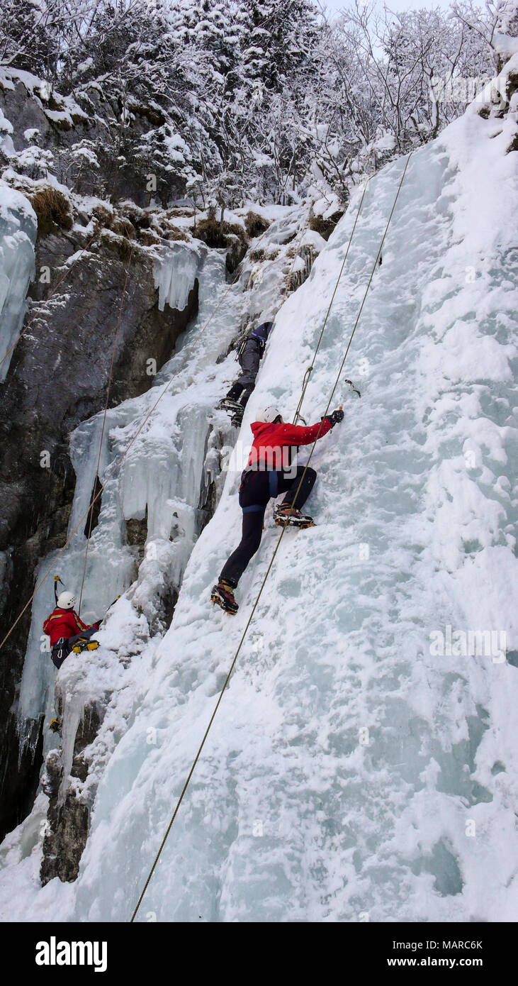Ice Climbers auf einem n Ice fallen in den Schweizer Alpen bei einer Eisklettern Kurs Stockfoto