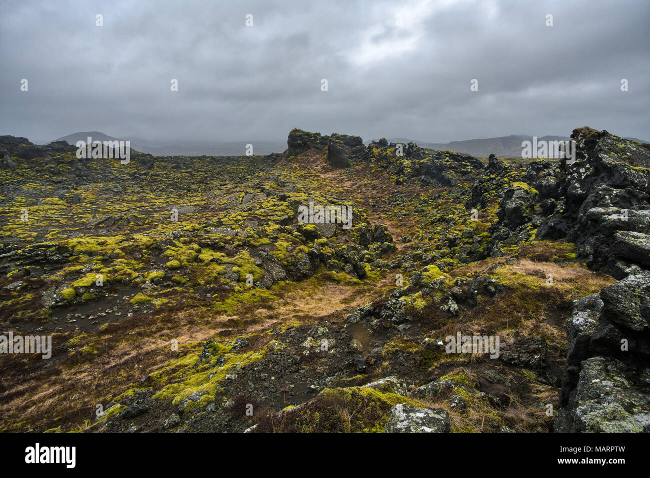 Die raue Landschaft bei bedecktem Wetter in Island Stockfoto