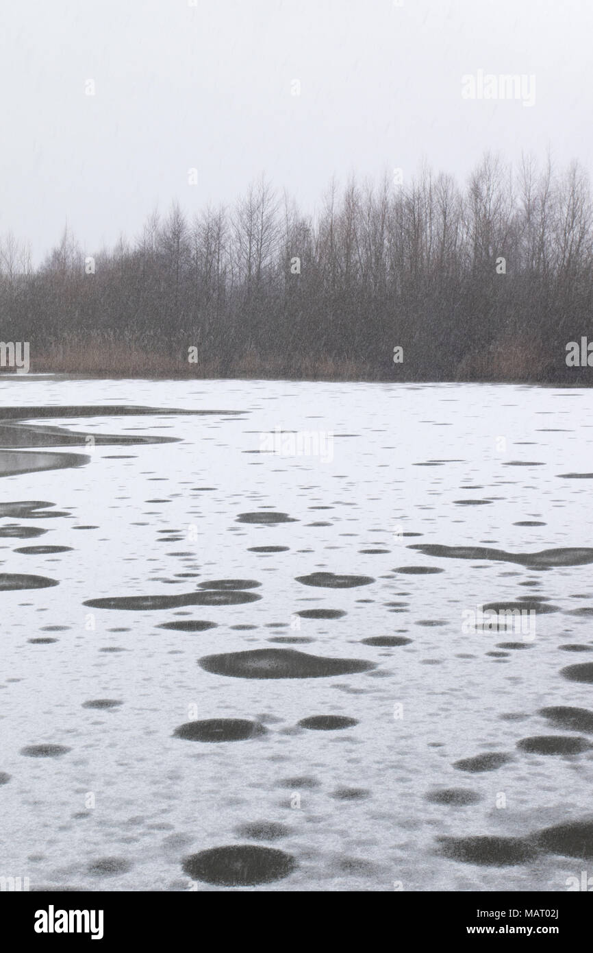 Schneebedeckten zugefrorenen See im Naturschutzgebiet Attenborough während einer Schnee Dusche Stockfoto