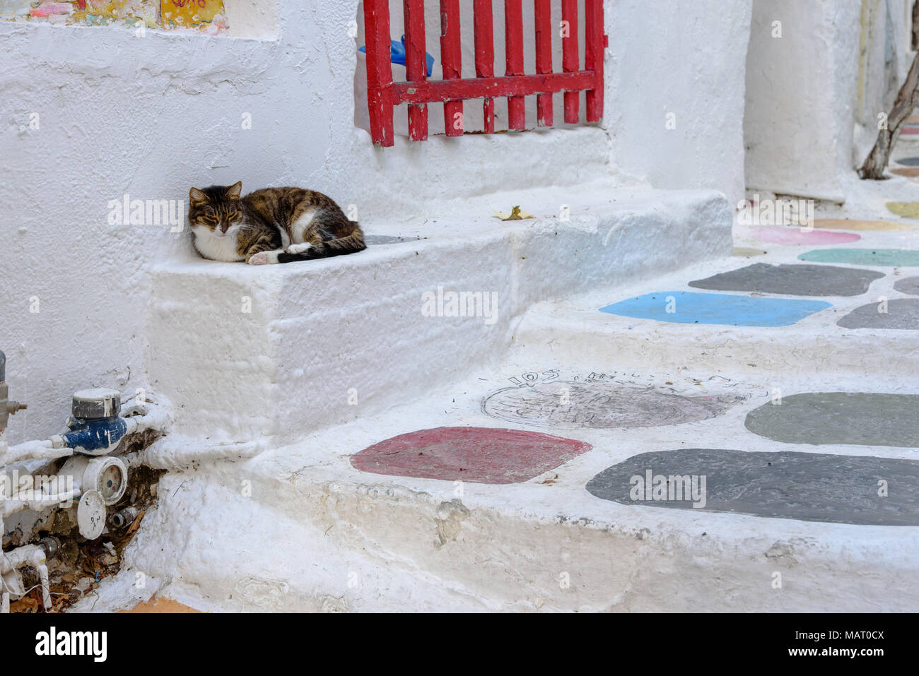 Eine Katze ein Nickerchen in der Altstadt von Ios Stockfoto