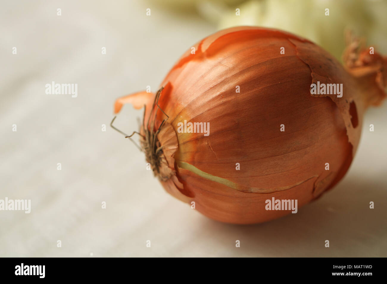 Nahaufnahme einer Zwiebel. Die Zwiebel ungeschält. Makro food Fotografie Stockfoto
