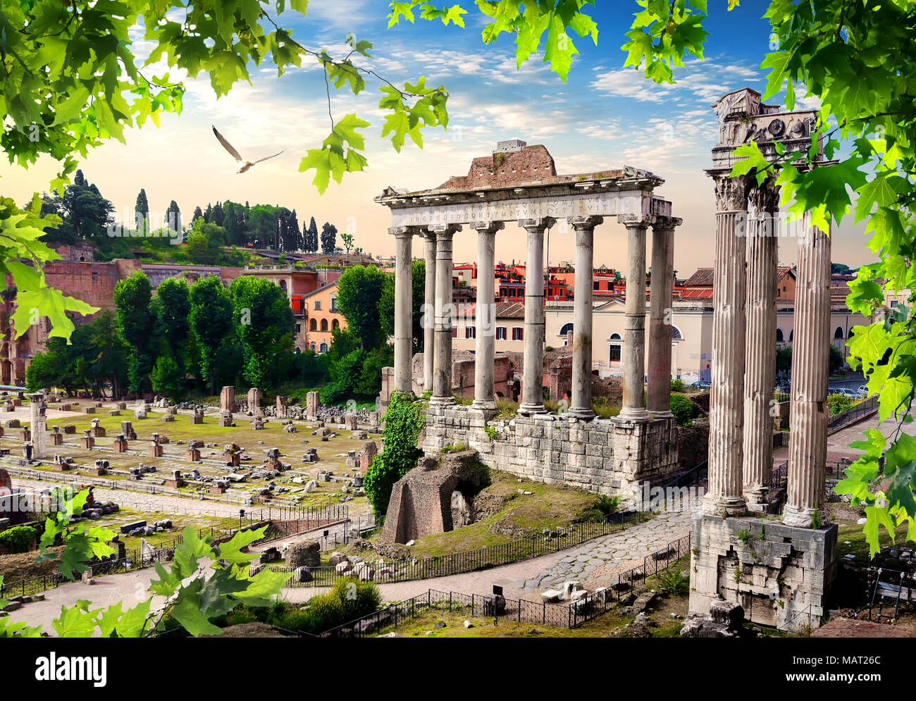 Ruinen des Forum Romanum im Sommer, Italien Stockfoto