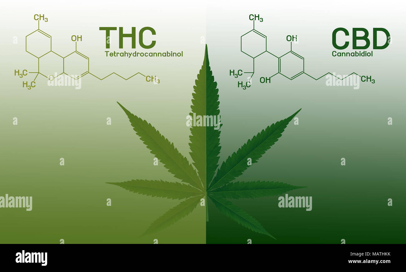 Bild Cannabis des Formel CBD-THC Stockfotografie - Alamy