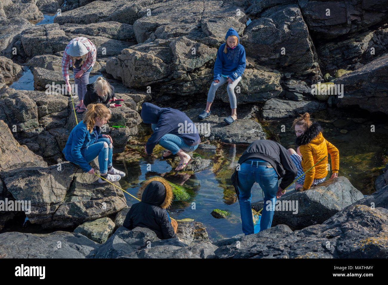 Eine große Familie spielen am Strand in Cornwall unter den Felsen rockpooling miteinander und Spaß zu erkunden. Die Werte der Familie und Freunde spielen Stockfoto