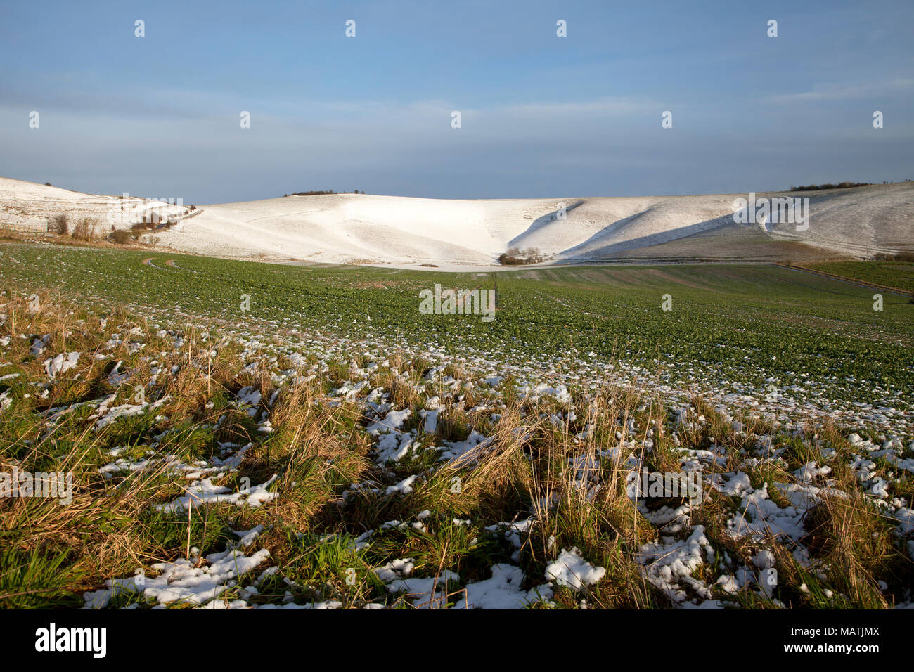Eine leichte Schneedecke auf der Marlborough Downs in Wiltshire. Stockfoto