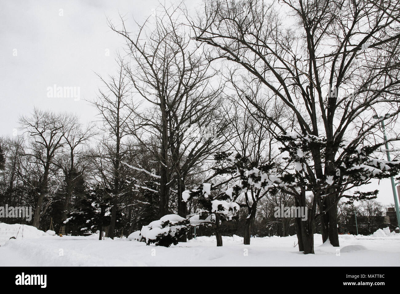 Winter in Japan Stockfoto