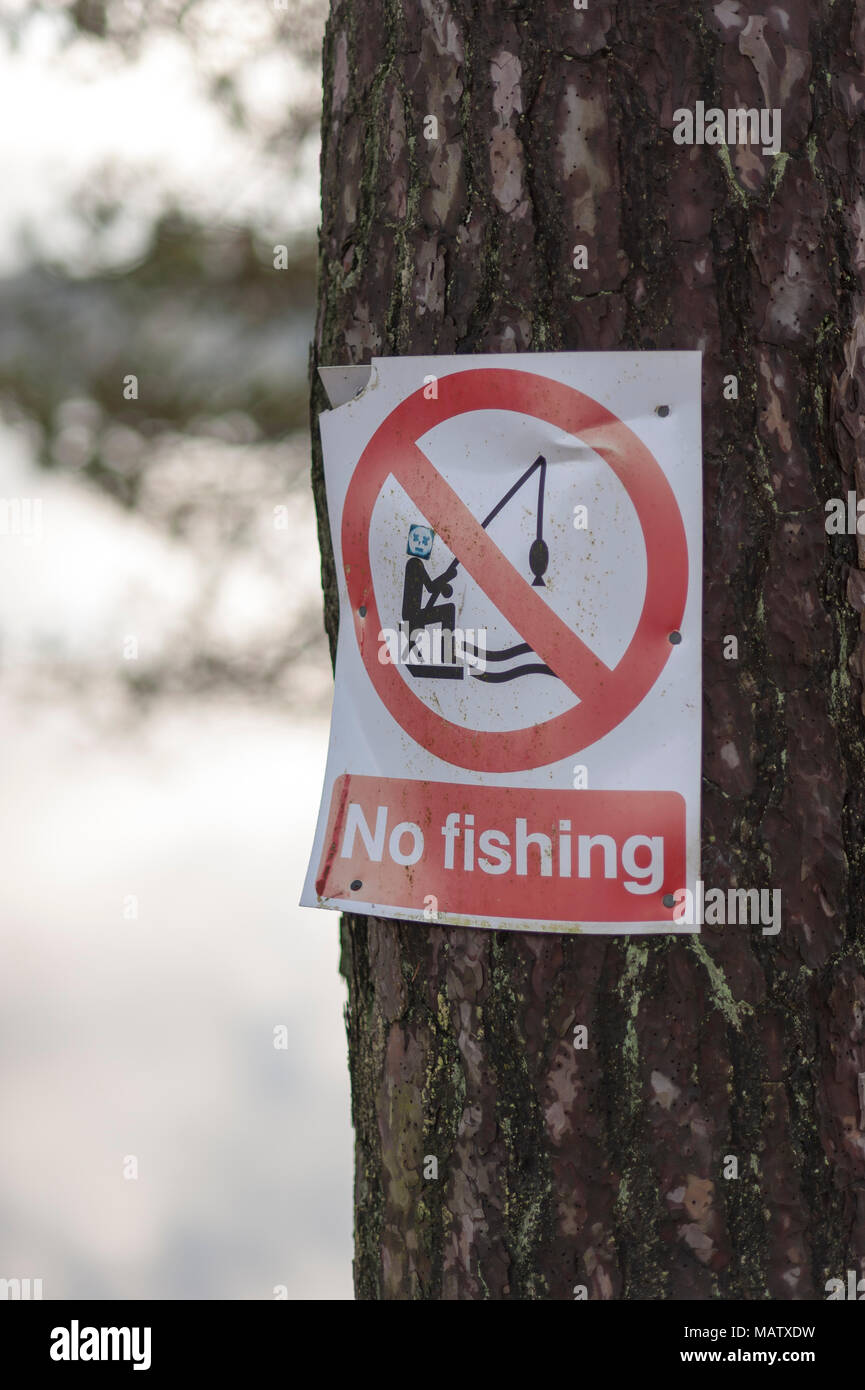 Ein Vandalismus keine Fischerei Schild an einem Baum befestigt Stockfoto