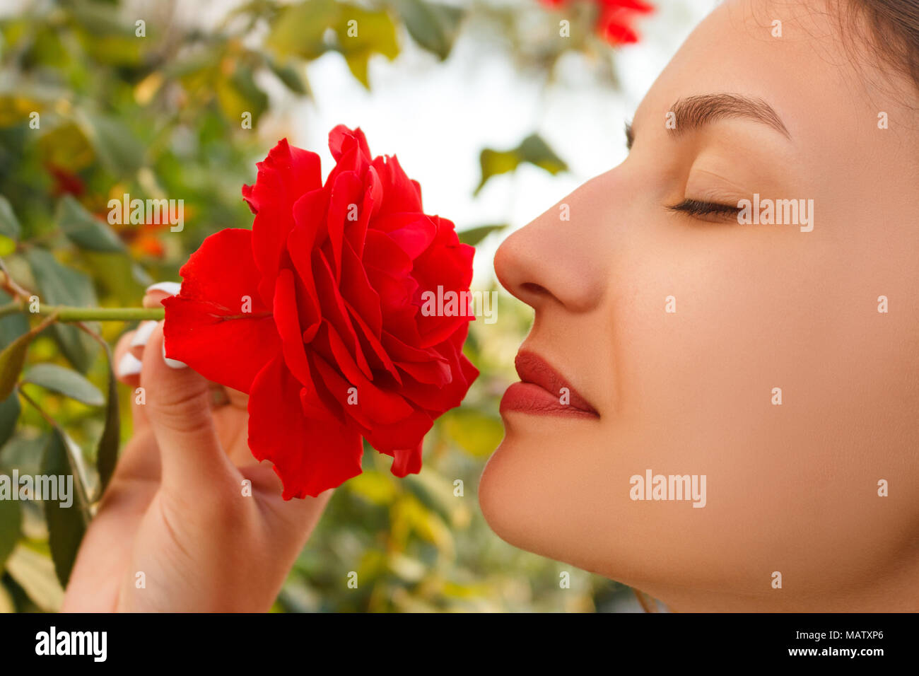 Junge schöne Kaukasische Mädchen duftende rote Rosen im Garten an einem sonnigen Tag. Stockfoto