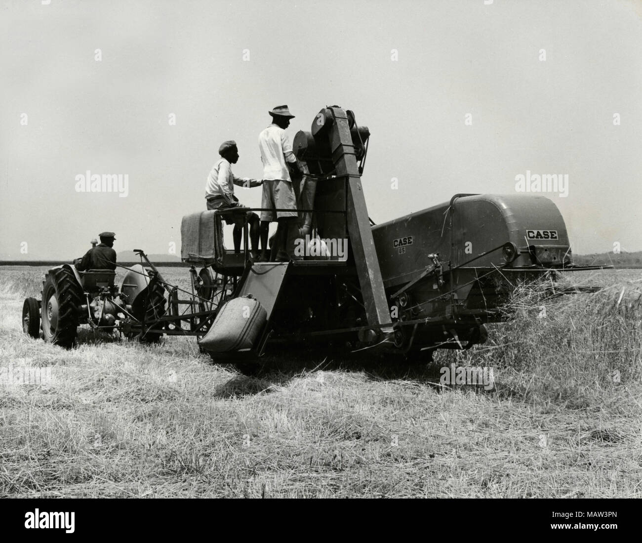 Bei Mähdrescher bei der ersten Ernte auf Wohnungen, Rhodesian Auswahl Vertrauen, Kafue Pilot Polder, Sambia, Süd Rhodesien 1957 Stockfoto