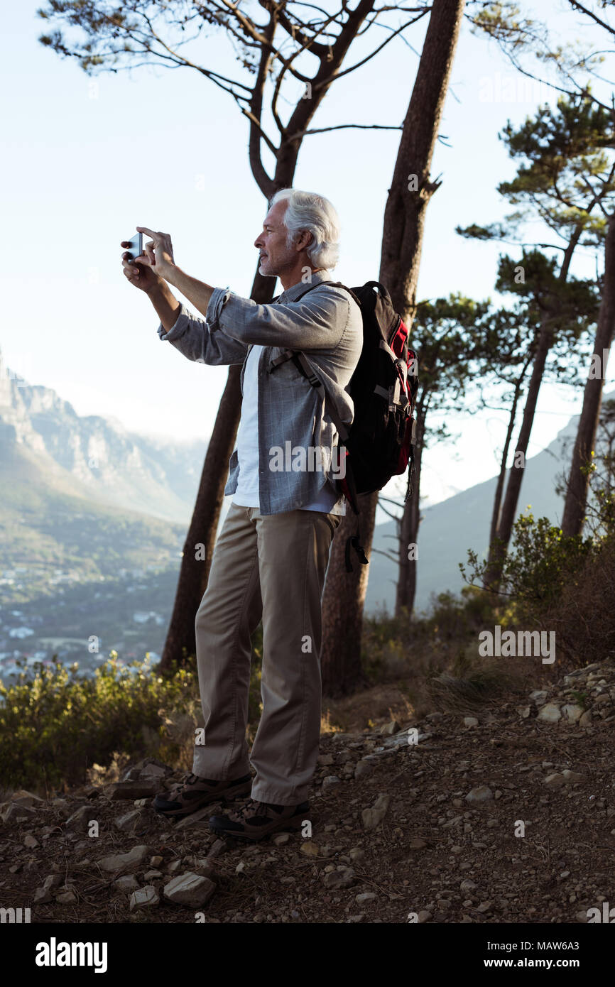 Ältere Wanderer unter Foto mit Handy im Wald Stockfoto