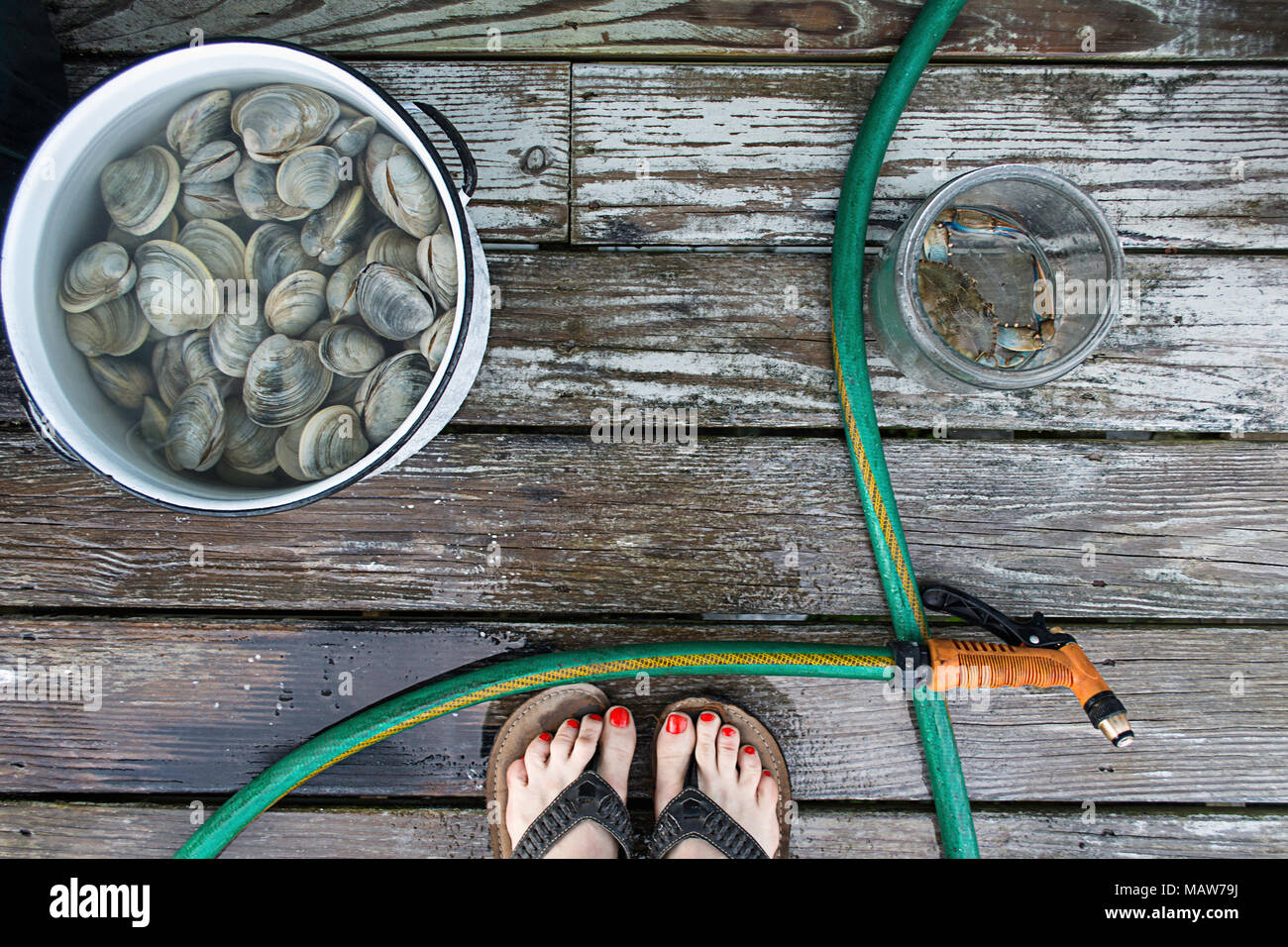 Frisch gefangene Meeresfrüchte auf Fire Island. Stockfoto