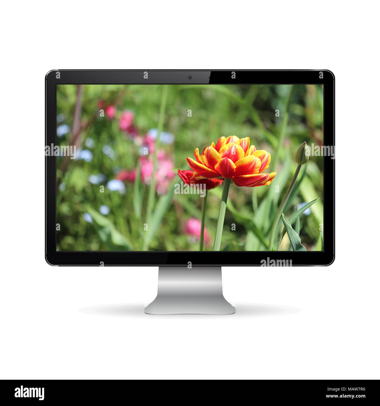 Computer Anzeige auf weißem mit Blumen auf dem Bildschirm isoliert Stockfoto