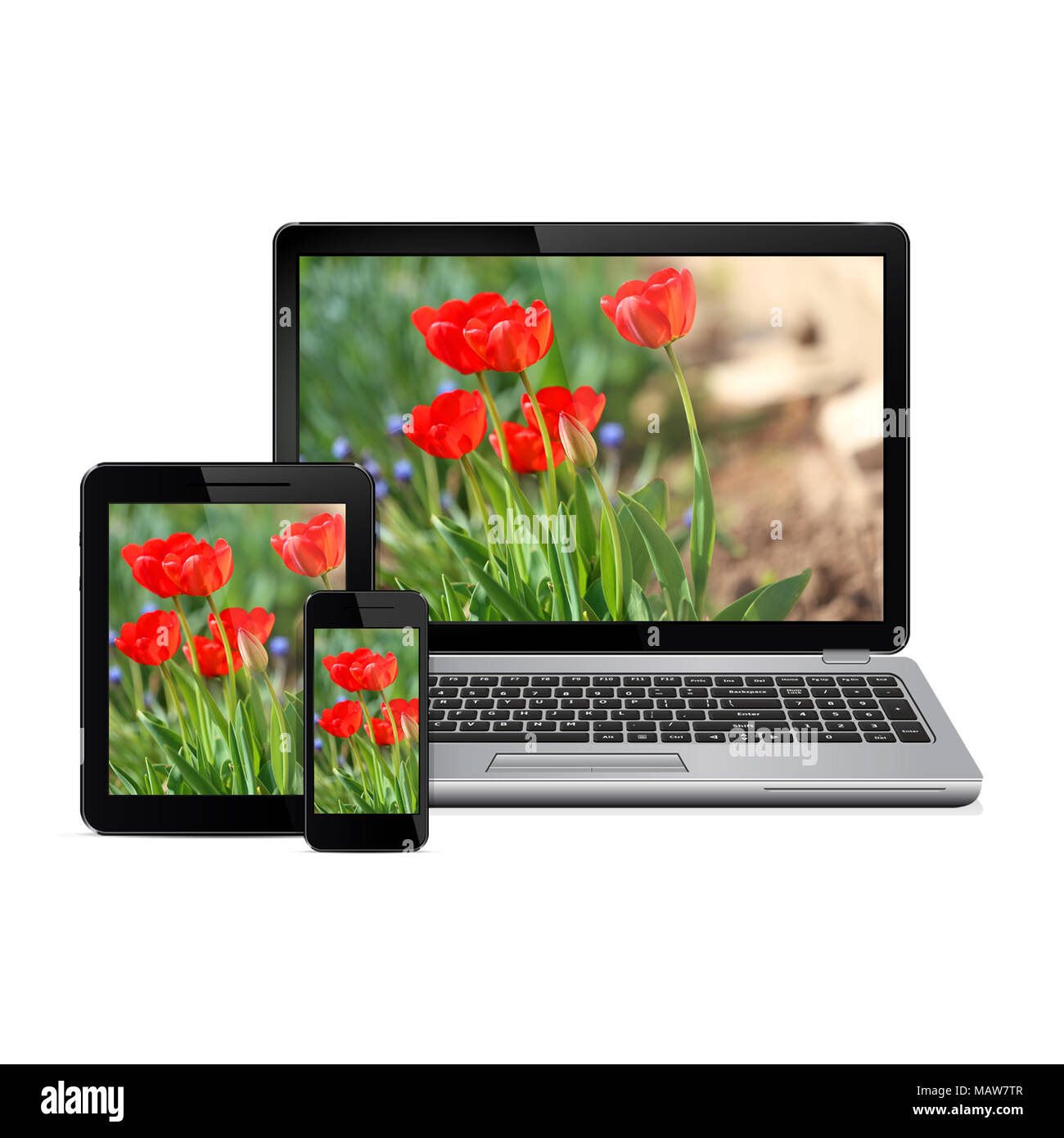Moderne digitale Geräte in Weiß mit Blumen auf dem Bildschirm isoliert Stockfoto