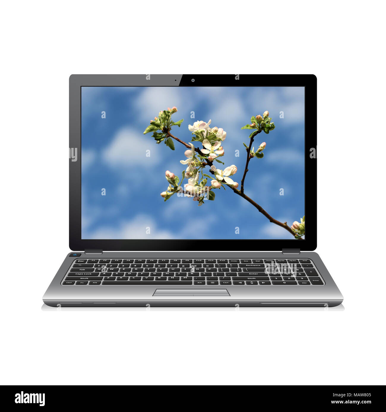 Moderne Laptop mit apfelblüten Hintergrundbild Stockfoto