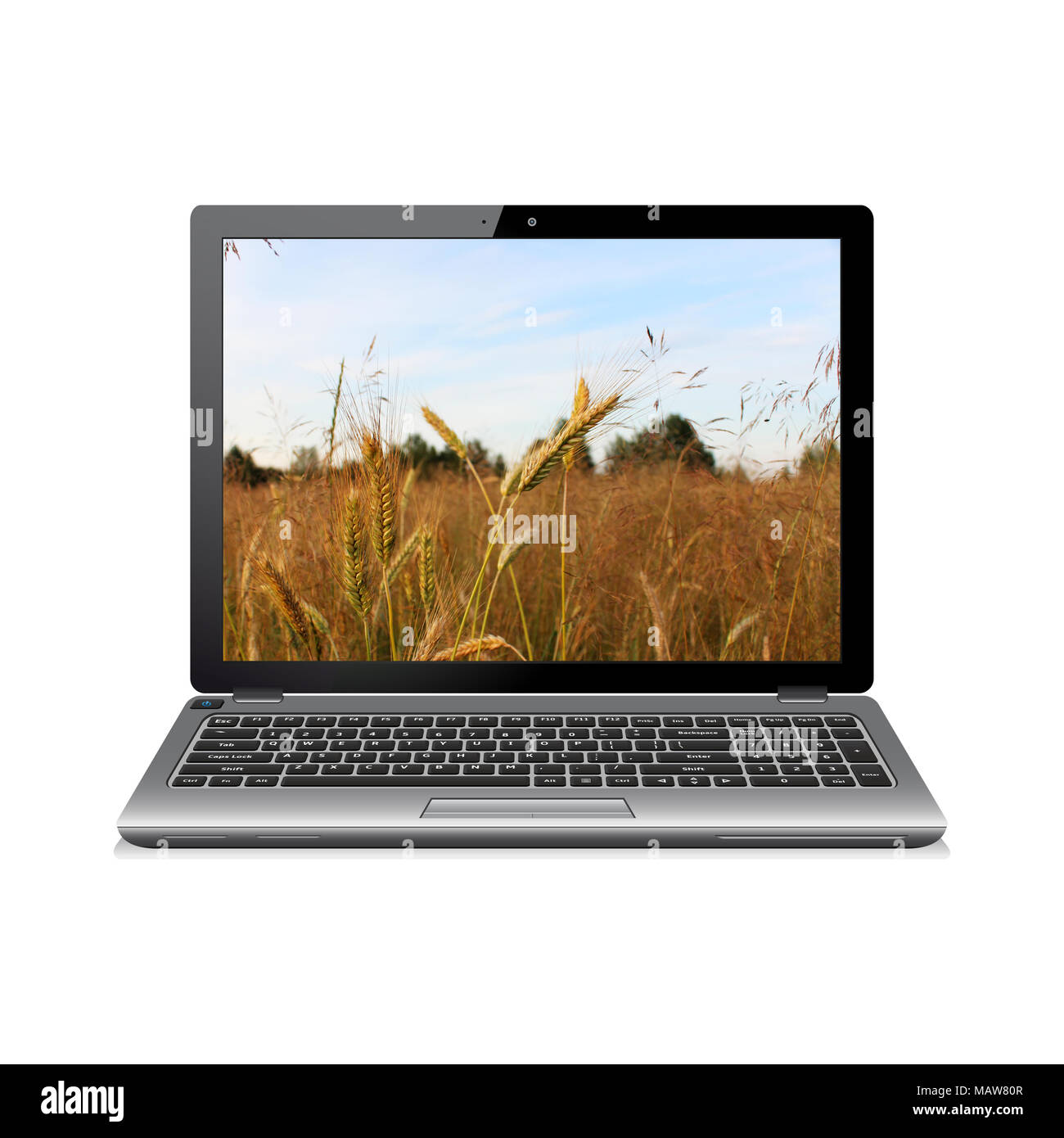 Moderne Laptop mit Weizenfeld wallpaper Stockfoto
