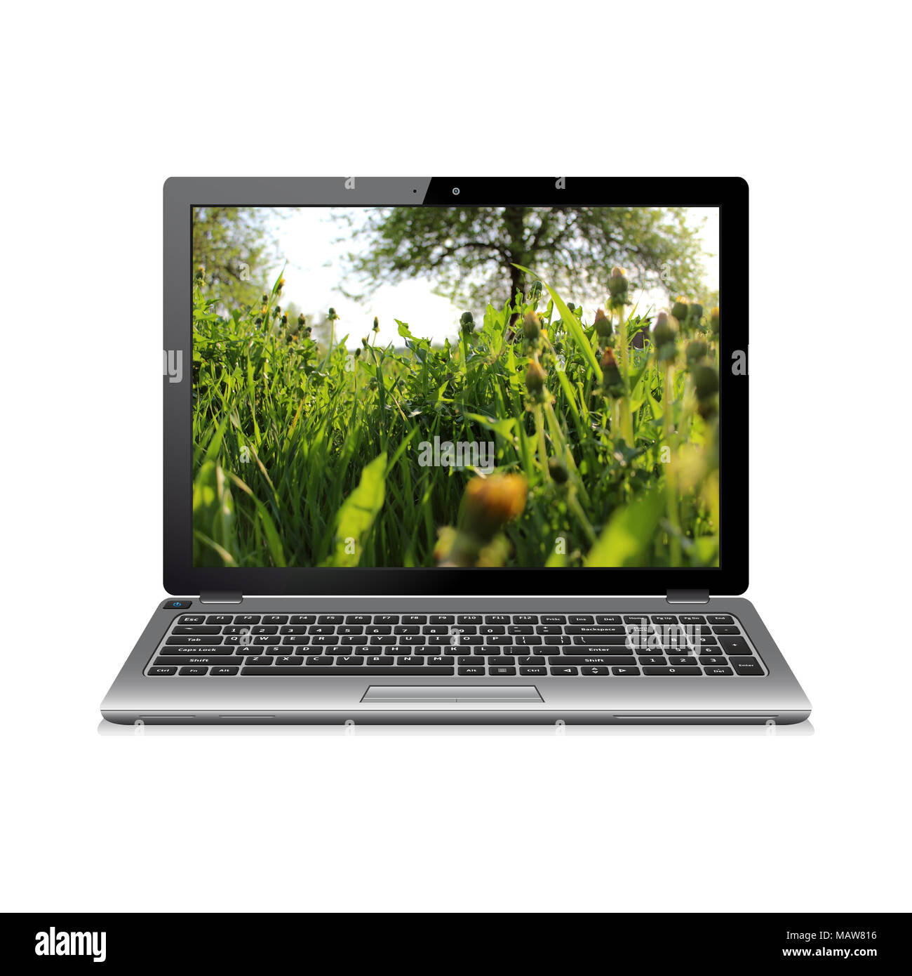 Laptop isoliert auf Weiss mit Löwenzahn Wiese auf dem Bildschirm Stockfoto