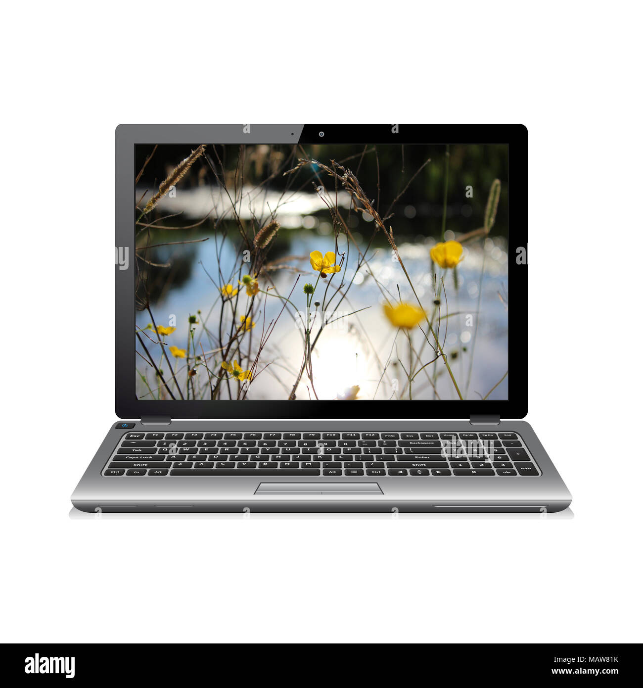 Laptop mit buttercup Blumen auf dem Bildschirm Stockfoto