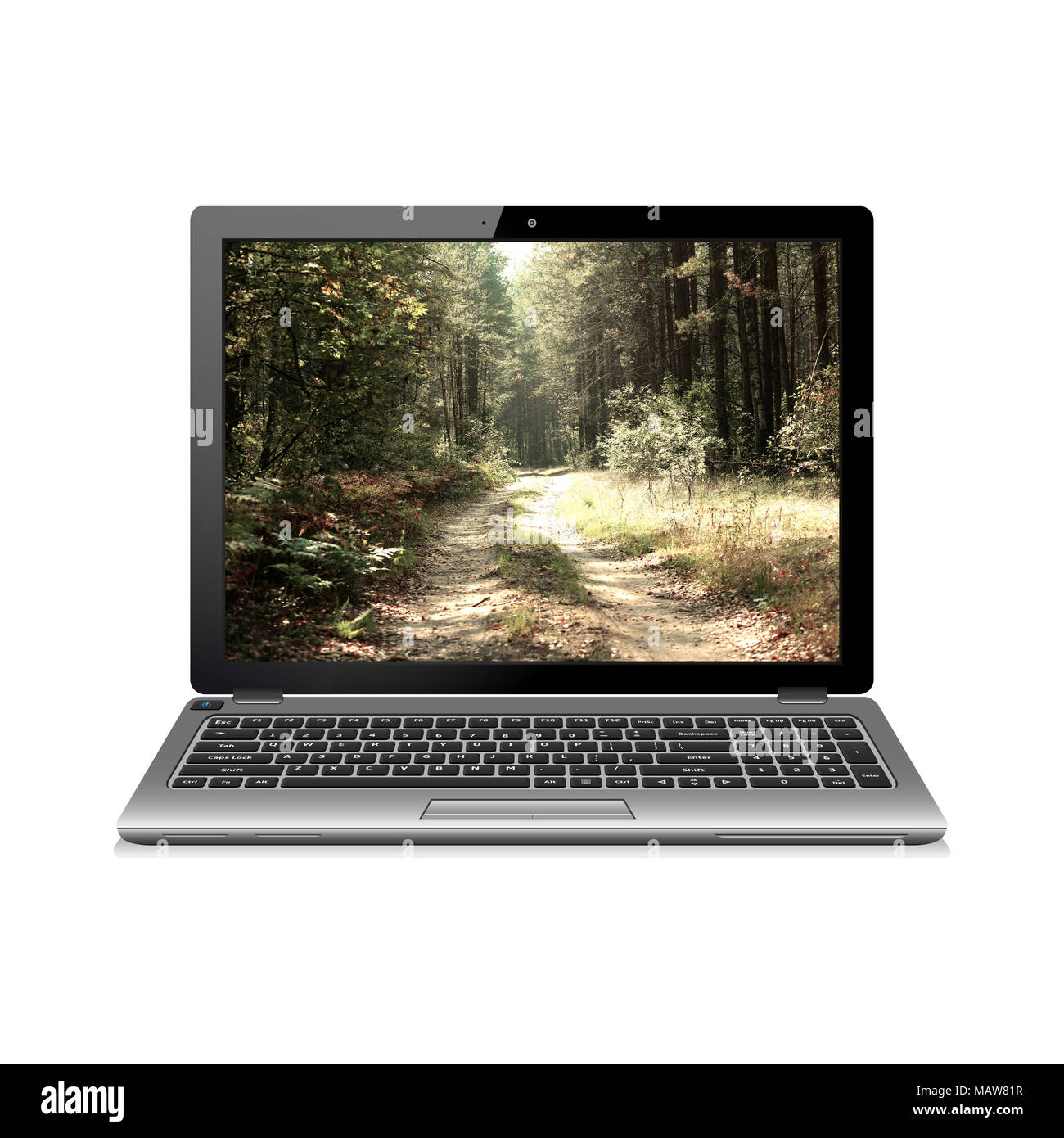 Laptop mit forest road auf dem Bildschirm Stockfoto