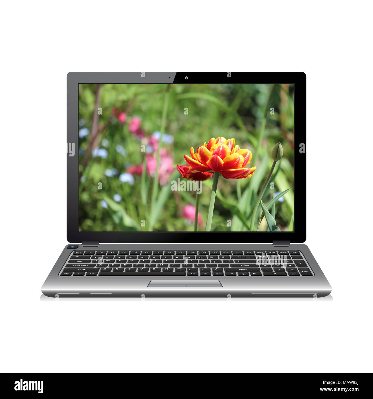 Laptop auf Weiß mit Blumen auf dem Bildschirm isoliert Stockfoto