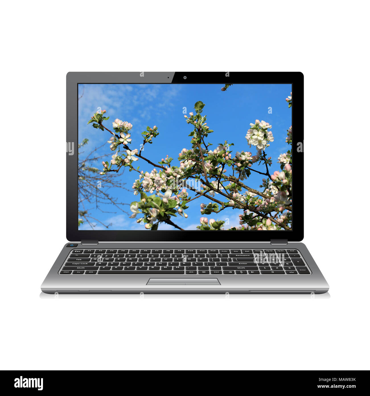 Laptop mit apfelblüten Hintergrundbild Stockfoto
