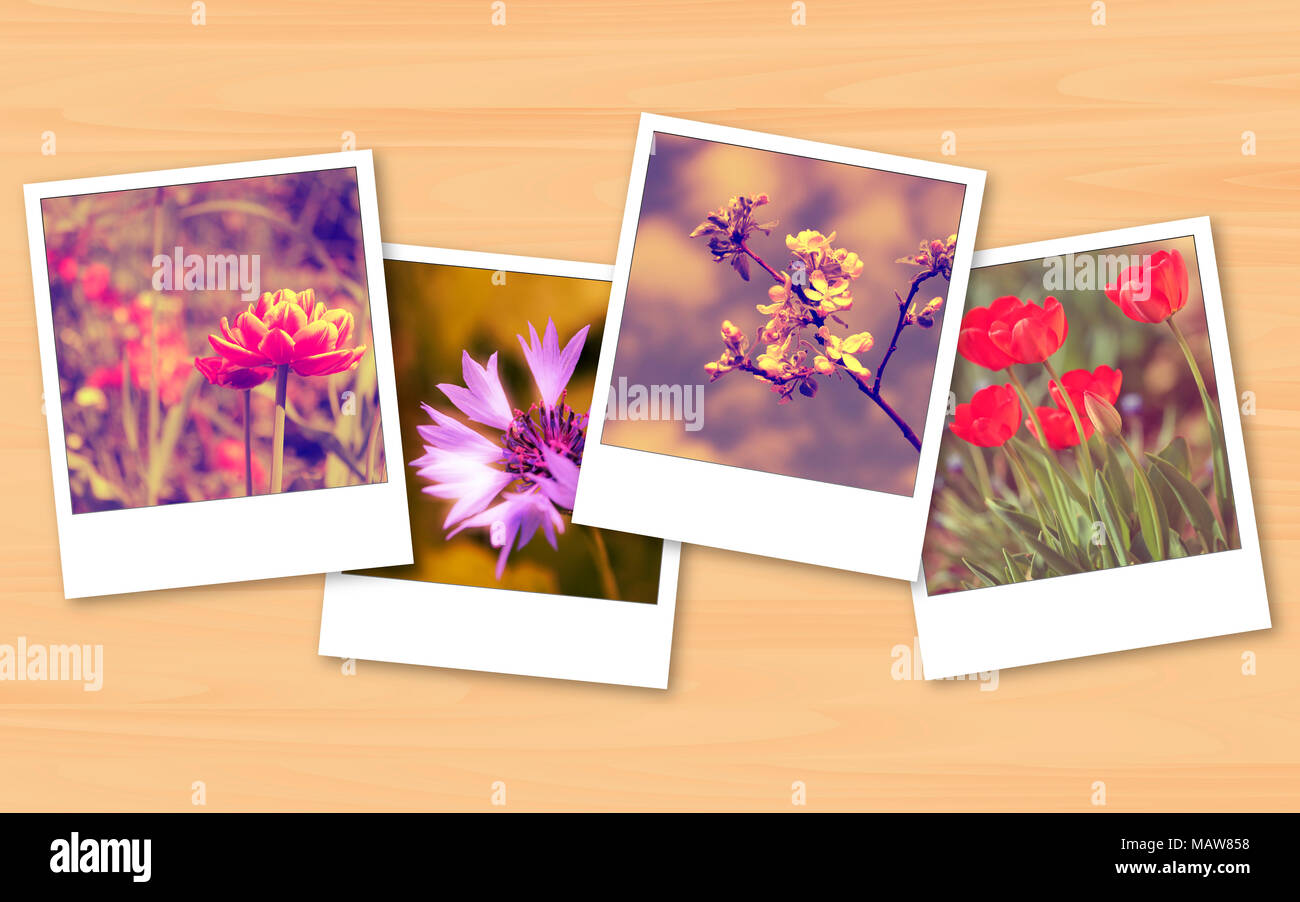 Vintage Blumen Fotos auf Holz- Textur Hintergrund Stockfoto