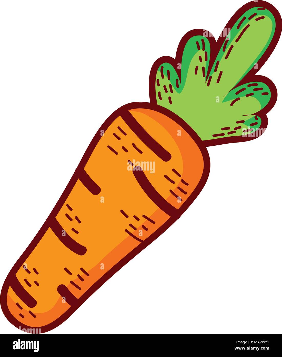Fesh gesunde Karotte Gemüse Lebensmittel Vector Illustration Stock Vektor