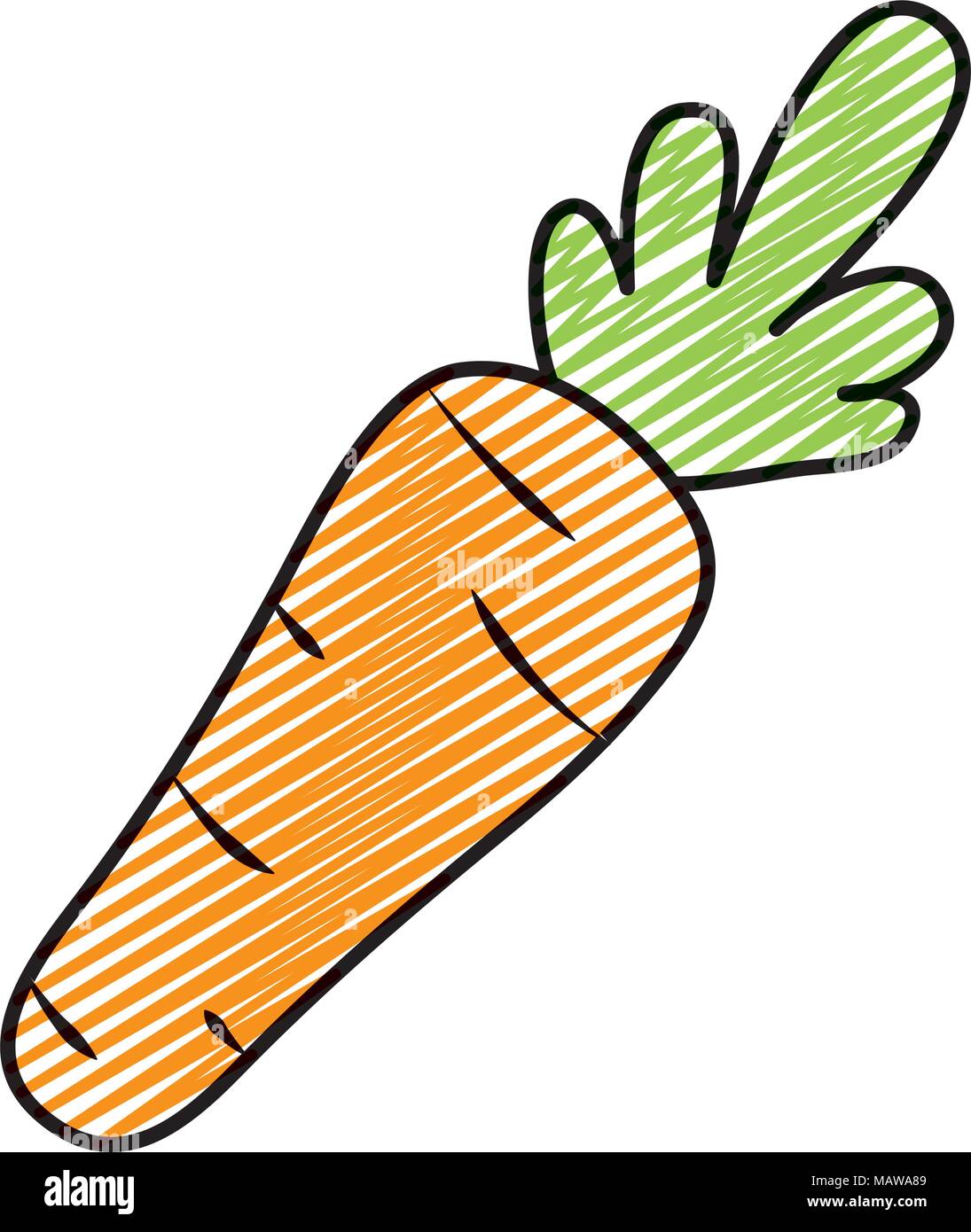 Doodle fesh gesunde Karotte Gemüse Lebensmittel Vector Illustration Stock Vektor