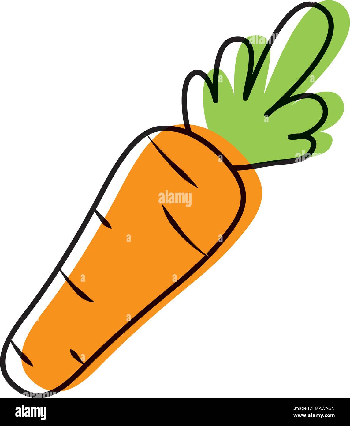 Bewegt Farbe fesh gesunde Karotte Gemüse Lebensmittel Vector Illustration Stock Vektor