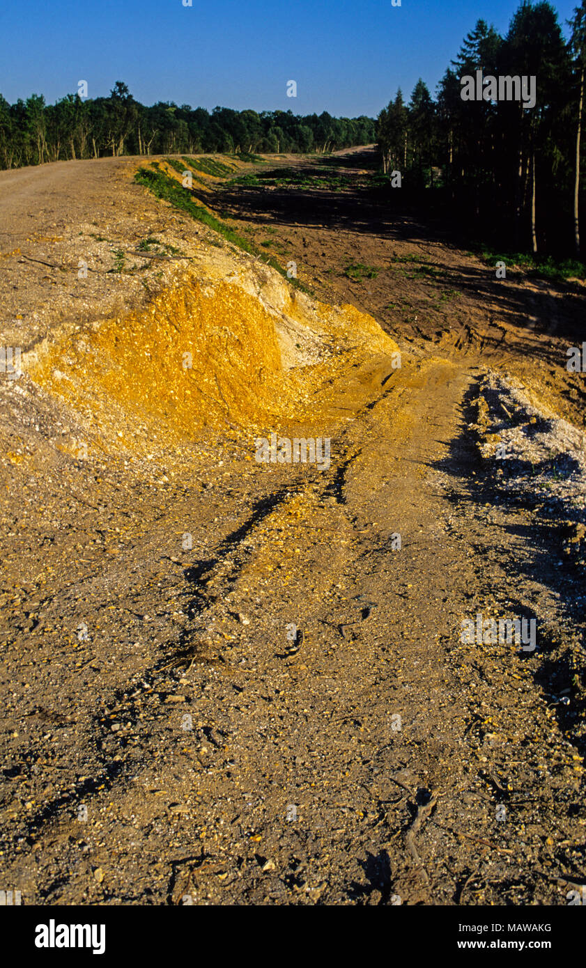 Newbury Bypass Road Route nach Baum, Clearing, Newbury, Berkshire, England, GB, UK. Stockfoto