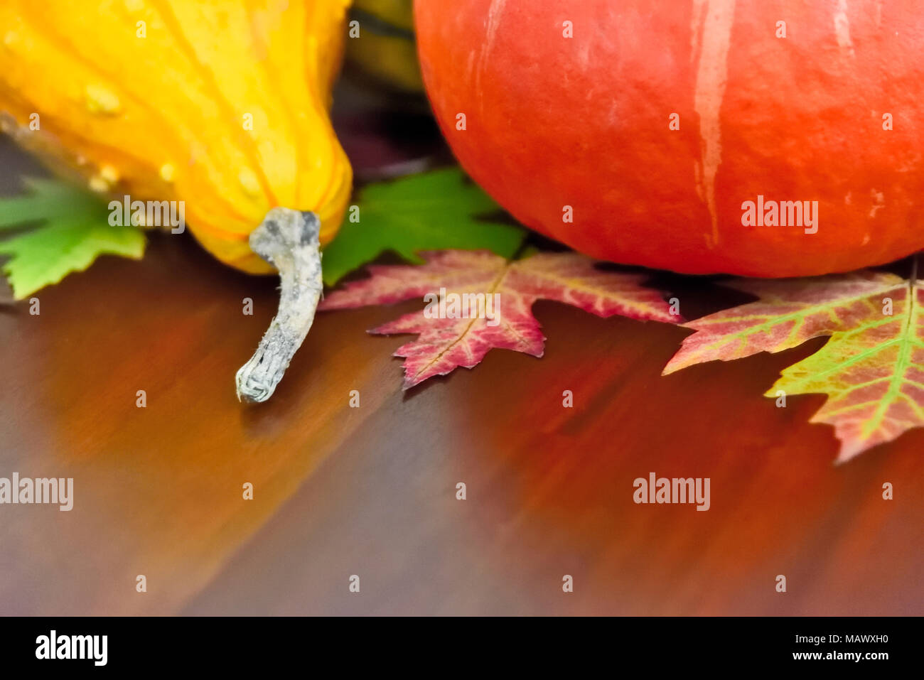 Herbst Hintergrund mit üppigen Laub, Kürbis und Holztisch mit kopieren. Stockfoto