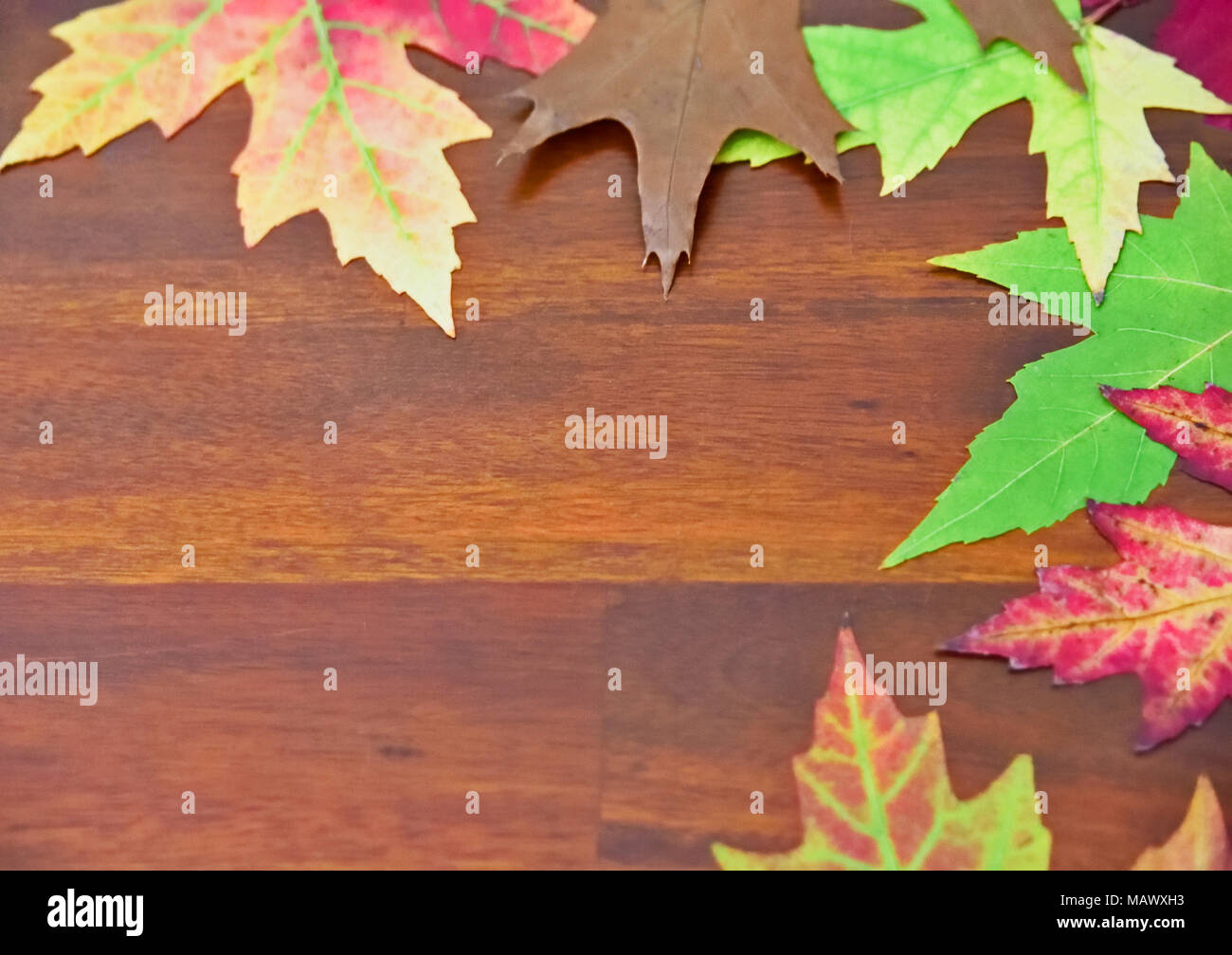 Herbst Hintergrund mit üppigen Laub und Holz- Tabelle mit kopieren. Stockfoto