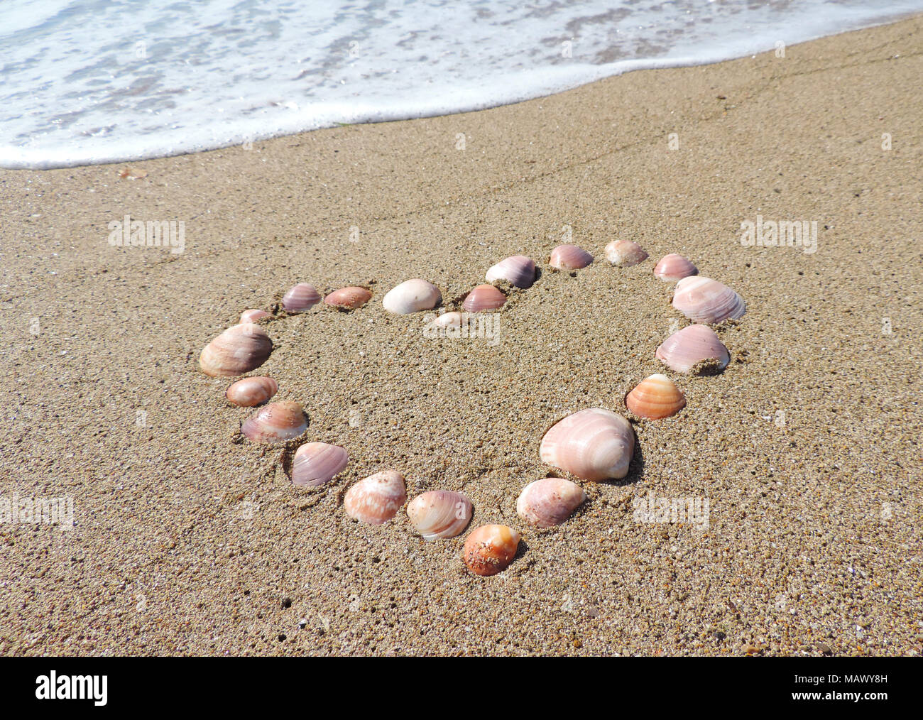 Herzen von Muscheln am Strand. Sommer Liebe oder Romanze Thema mit Sand und Muscheln. Stockfoto