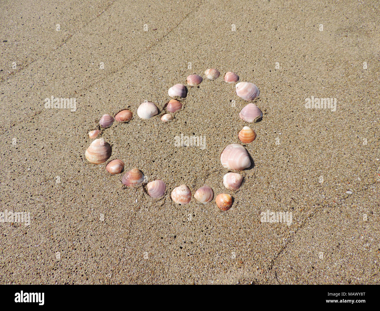 Herzen von Muscheln am Strand. Sommer Liebe oder Romanze Thema mit Sand und Muscheln. Stockfoto