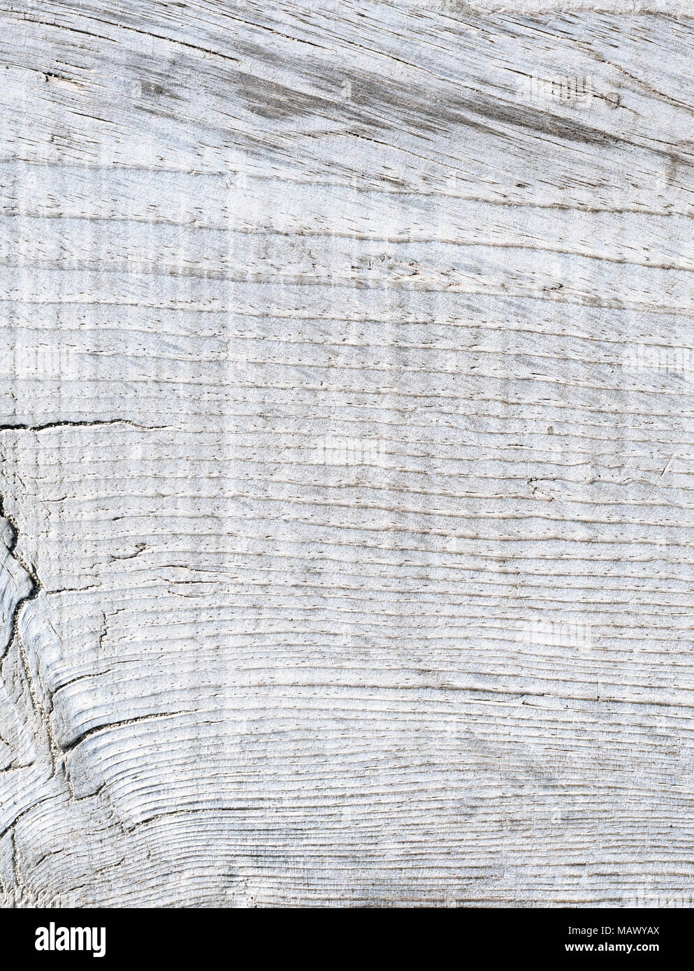 Holzbohlen Hintergrund, weiße Tabelle oder weißen Planken mit kopieren. Holz- Hintergrund. Stockfoto
