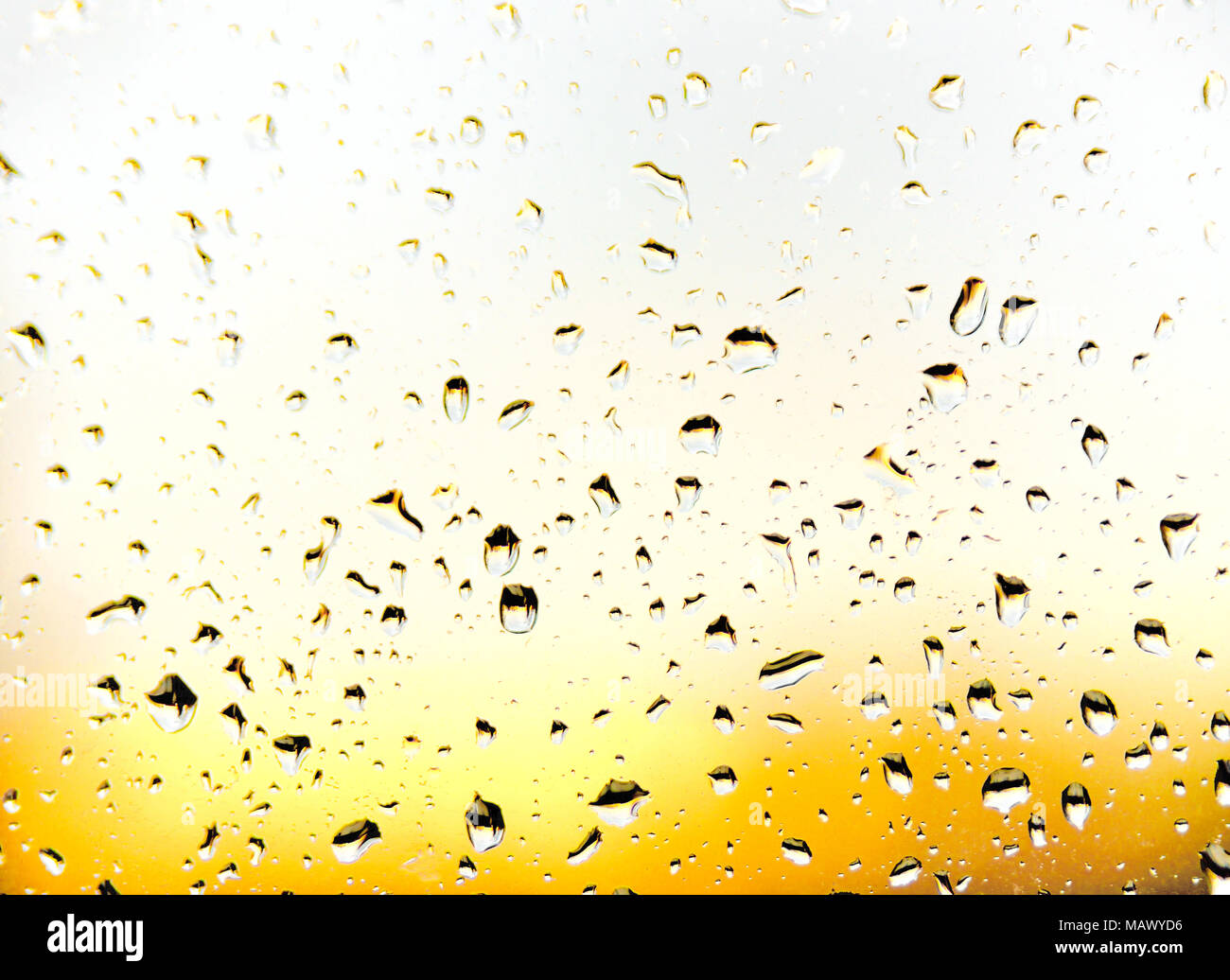 Regentropfen am Fenster Glas. Selektiver Fokus oder closeup Schuß von Regen fällt auf ein Fenster. Stockfoto