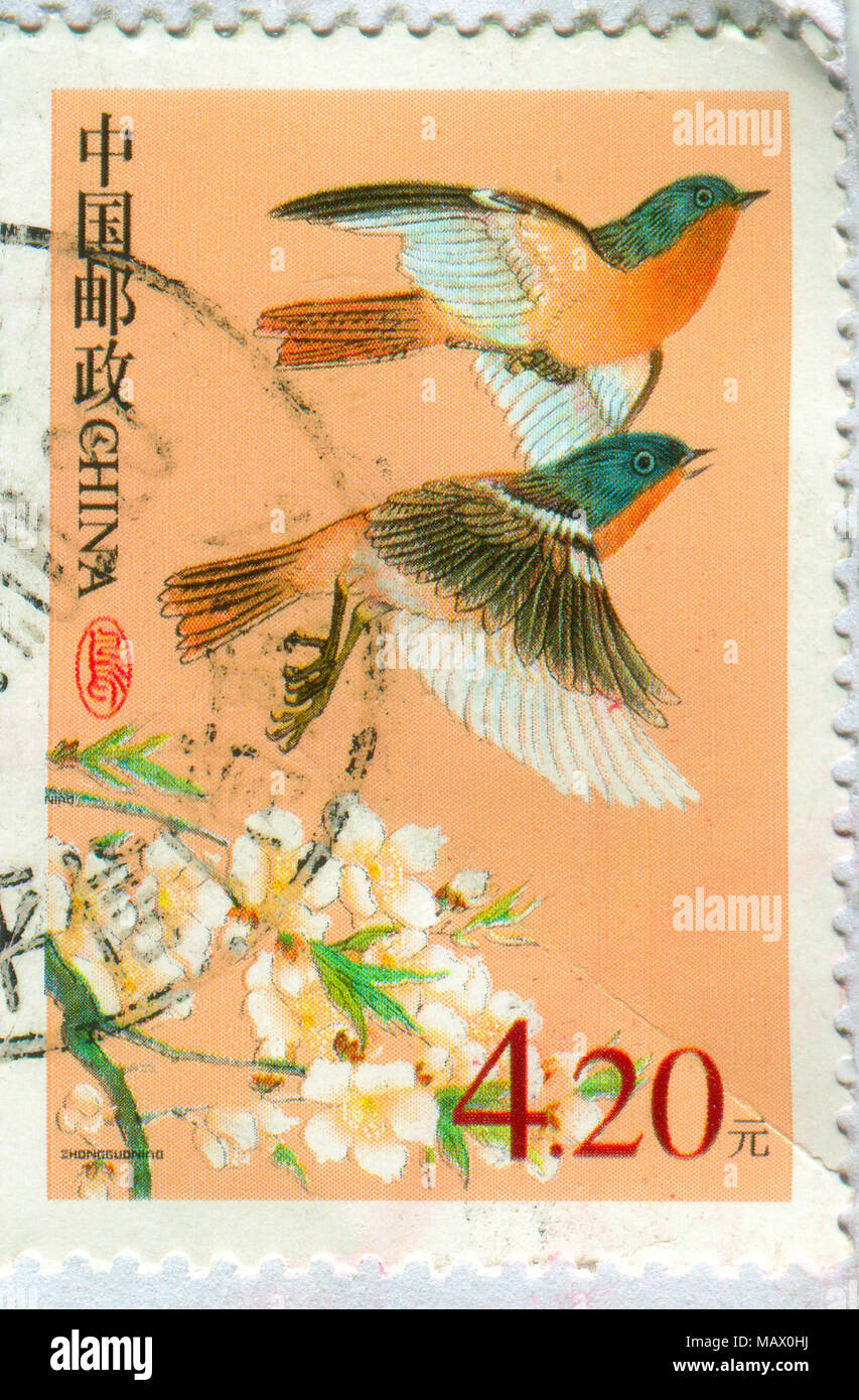 GOMEL, BELARUS, 27. Oktober 2017, Stempel gedruckt in China zeigt ein Bild der Vögel, circa 2017. Stockfoto