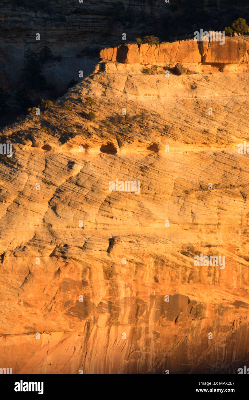 Sandstein bei Mummy Cave übersehen, Canyon de Chelly National Monument, Arizona Stockfoto