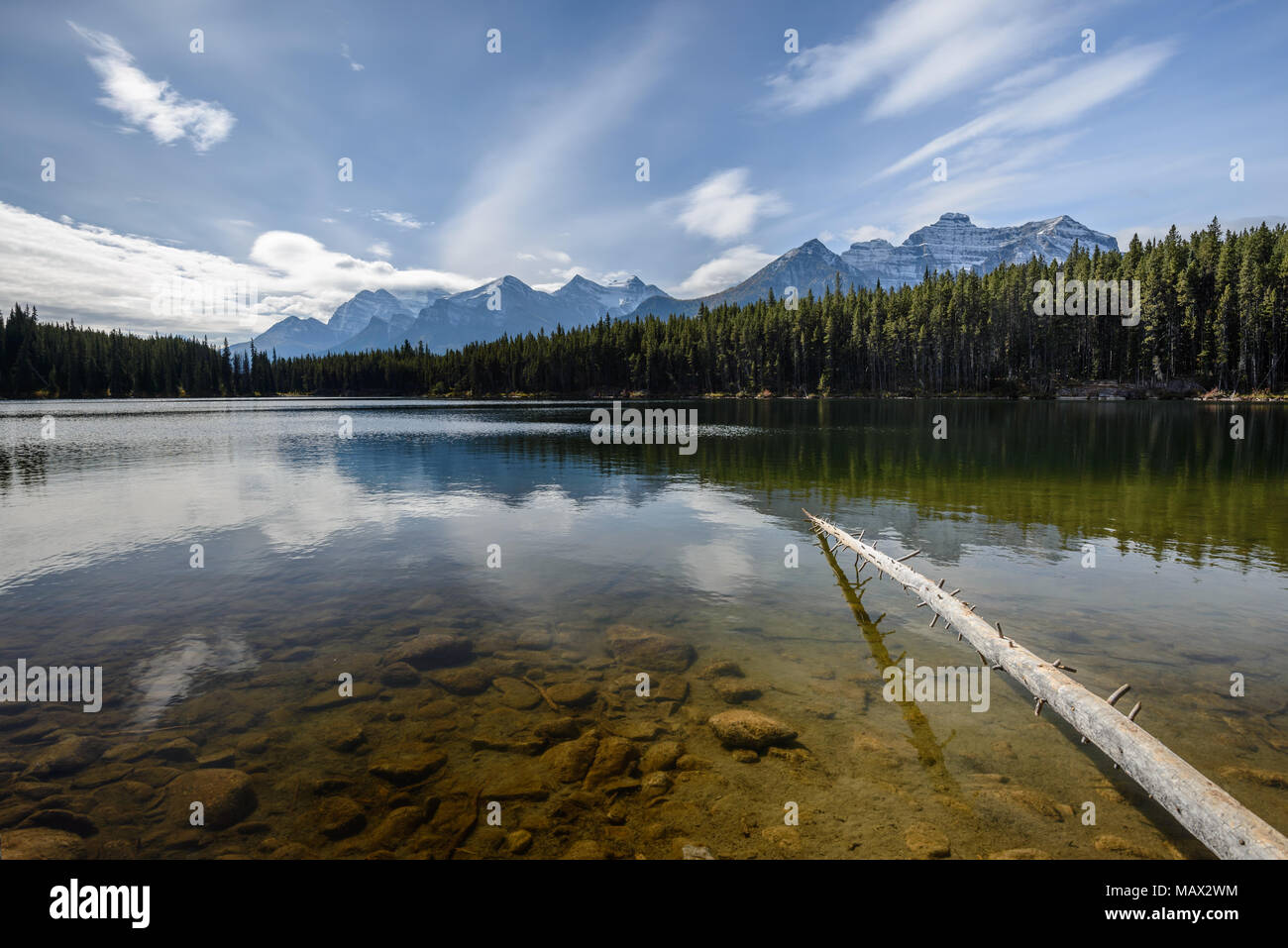 Unterwasser Steine und Rocky Mountains in der Nähe der Herbert See Stockfoto