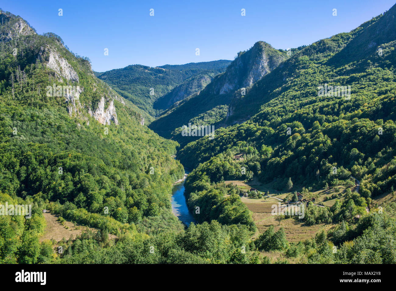 Schöne Aussicht auf die grünen Berge und Fluss Tara Canyon In Montenegro mit erstaunlichen Natur in Osteuropa Stockfoto