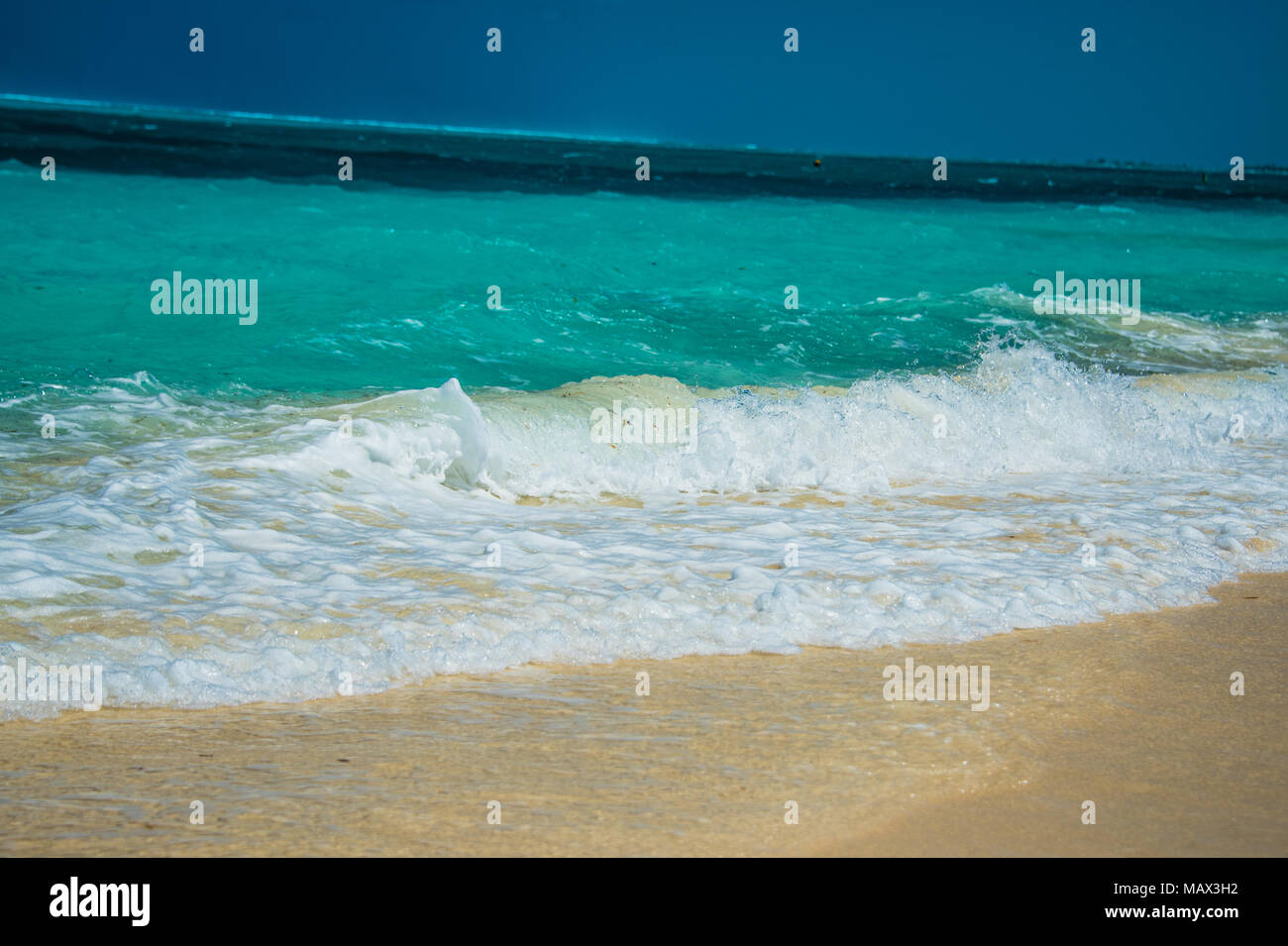 Sanfte Brandung am goldenen Sand Läppen auf einem idyllischen tropischen Strand in der Turks- und Caicos-Inseln, Karibik, Nordamerika Stockfoto