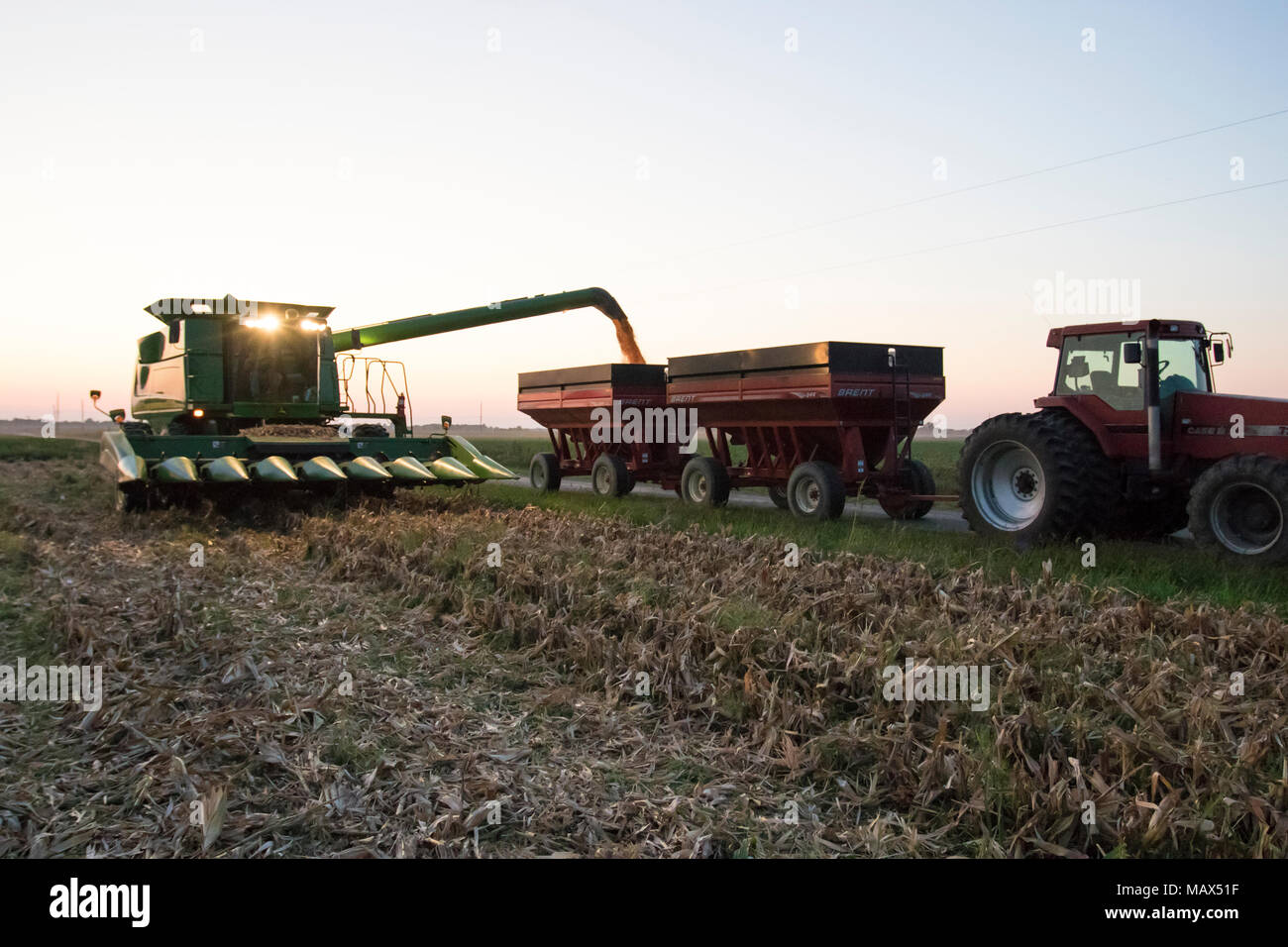 Bauernhof, Ernte, Mais, Sonnenuntergang, Marion County, Illinois, USA, Landwirtschaft, Ernte, Mähdrescher, Getreide Wagen, Mähdrescher, Abend Stockfoto