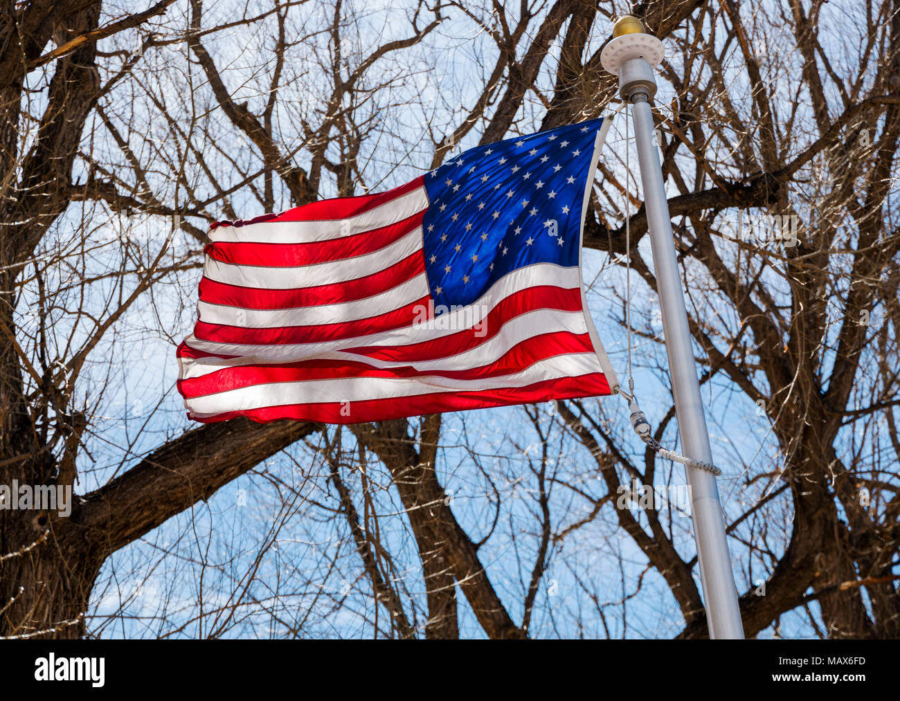 Amerikanische Flagge gegen den blauen Himmel & Zweige im Riverside Park fliegen; Salida, Colorado, USA Stockfoto