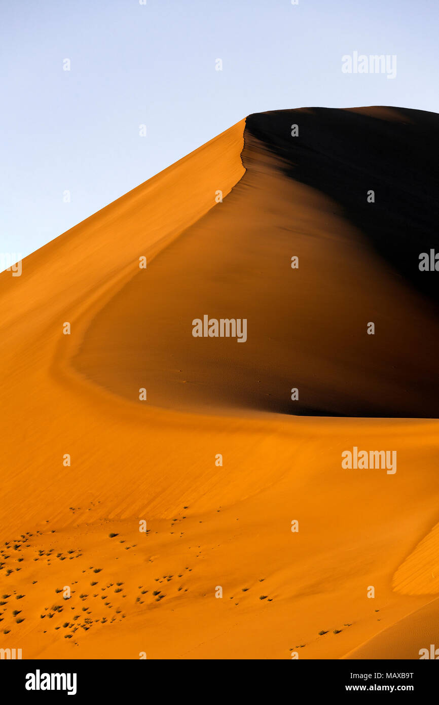 ID 00686-00 ... IDAHO - Dünen in Bruneau Dunes State Park. Stockfoto