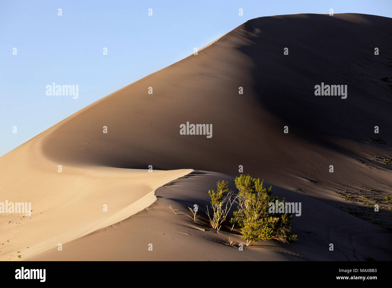 ID 00691-00 ... IDAHO - Dünen in Bruneau Dunes State Park. Stockfoto